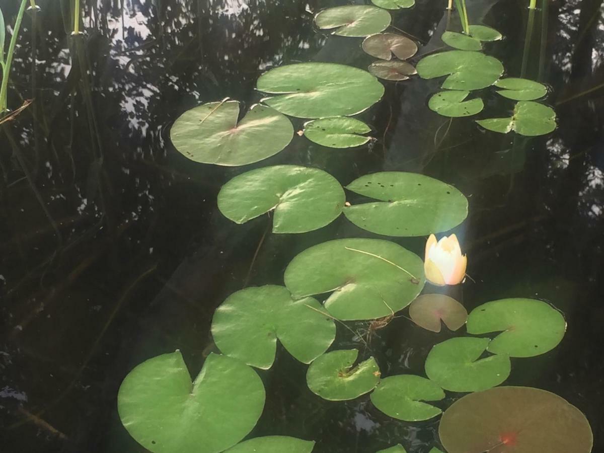 Otter Lake Sunny Point Resort מראה חיצוני תמונה
